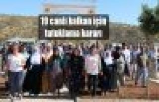 19 canlı kalkan için tutuklama kararı