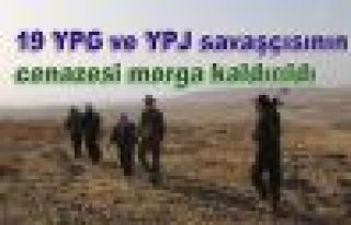 19 YPG ve YPJ savaşçısının cenazesi morga kaldırıldı