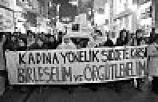 2016'nın ilk 11 ayında en az 236 kadın öldürüldü