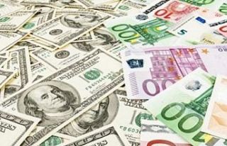 Serbest piyasada döviz açılış fiyatları: Dolar...