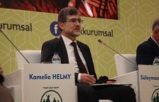 TİHEK Başkanı, reşit olmayanların evlendirilmesini...