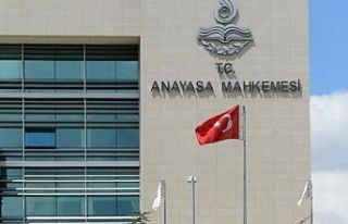 Anayasa Mahkemesi, 'çoklu baronun iptali'...