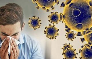 Araştırma: Korona virüsü insan derisinde dokuz...