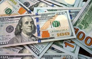 Dolar yeniden 8 lirayı geçti