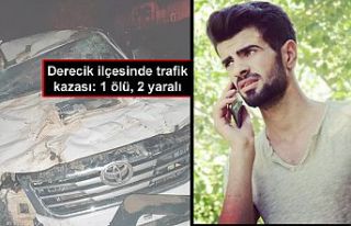 Derecik ilçesinde trafik kazası: 1 ölü, 2 yaralı