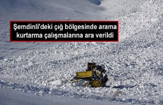 Şemdinli'deki çığ bölgesinde arama - kurtarma...