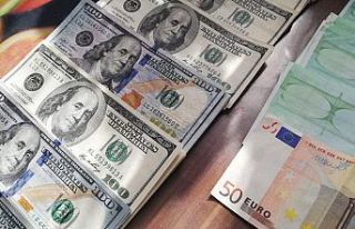 Dolar ve euro ayın son işlem gününe nasıl başladı?