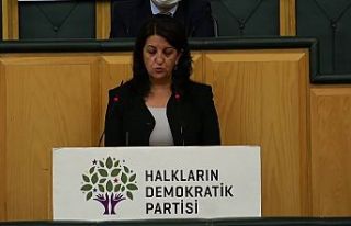 Buldan: Çözüm sürecinde bize vaat edilenleri açıklamazsak...