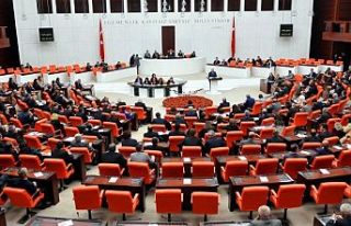 AİHM kararları için Meclis'te genel görüşme...