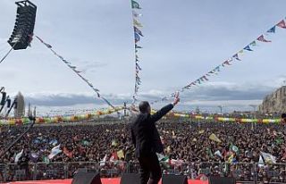 Van Newrozu'nda konuşan Temelli: Barışın...