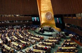 BM Genel Kurulu, Filistin için toplanacak