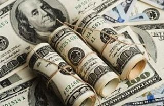 Dolar tarihi zirveyi gördü