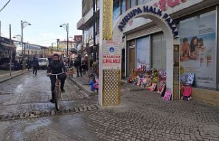 Van'da 947 iflas bildirimi: Böyle giderse esnaf...