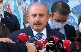 TBMM Başkanı Şentop: Soylu'nun dediği siyasetçi...