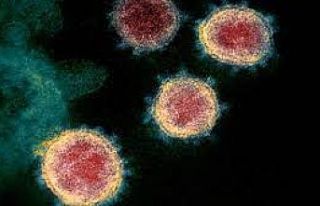 Prof. Dr. Yalçın: Delta varyantı yüzde 60 daha...