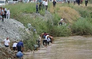 Yükselen Zap Suyu'nda binlerce balık öldü;...