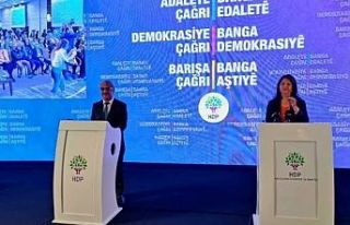 HDP'nin deklarasyonu açıklandı: Silah yerine...