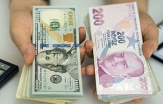 Döviz kuru korumalı TL mevduatı sisteminin ayrıntıları...