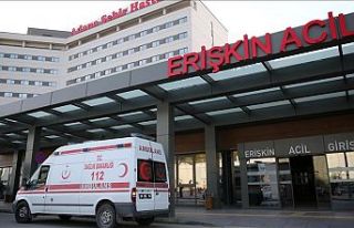 Halk sağlığı uzmanı: Adana'da vakalar 45...