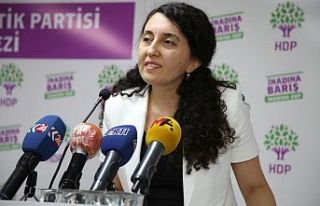HDP Eş Sözcüsü Ebru Günay: Çözüm için muhalefet...