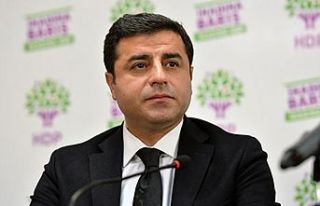 Demirtaş: Herkes kendini şimdiden seçim görevlisi...