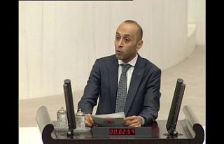 HDP Hakkari Milletvekili Sait Dede Meclis'te...