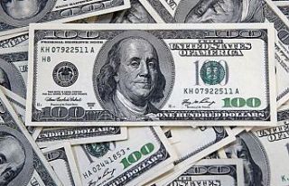 Dolara kredi yasağı freni