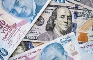 Türkiye 307 milyar dolar fakirleşecek