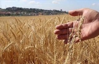 Resmi Gazete'de yayınlandı: Çiftçiye buğday...