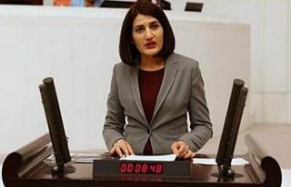HDP'li Semra Güzel gözaltına alındı