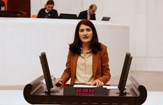 HDP'li Semra Güzel'in 15 yıla kadar hapsi...