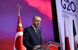 Erdoğan’dan Ahmet Kaya teklifi: O geceyi unutmamız...