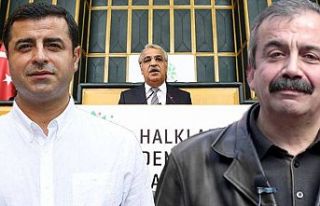 Mithat Sancar: Demirtaş ve Önder'in açıklamaları...
