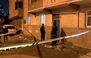 İstanbul'da domuz bağı cinayeti