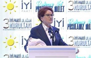 Meral Akşener, yeniden genel başkan seçildi