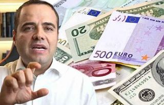 Özgür Demirtaş'tan döviz çağrısı