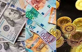 Dolar ve euro yeni yıla rekorla başladı
