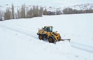 Kar yağışı Hakkari'de 86 köy ve 177 mezra...