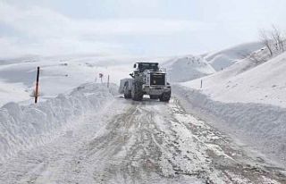 Hakkari'de kar yağışı nedeniyle 290 yerleşim...