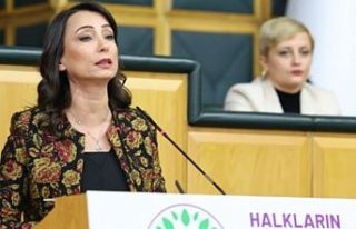 Tülay Hatimoğulları, Abdullah Öcalan'ın...