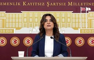 DEM Parti açıkladı! Çözüm süreci için Meclis’te...