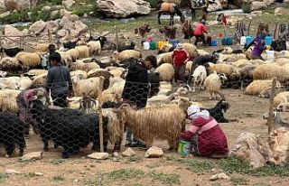 Bêrivanların yaşamı yaylaların güzelliği ile...