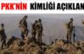 23 PKK'linin kimlikleri açıklandı