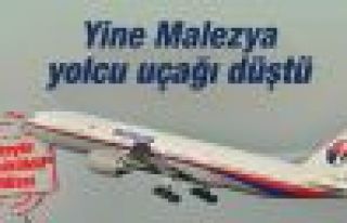 295 kişiyi taşıyan Malezya uçağı düştü