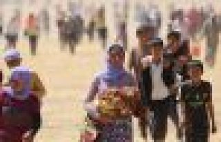 32 kurdên êzîdî ji çeteyên DAIŞ’ê rizgar...