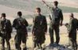 3 köy daha özgürleştirildi