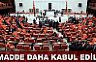 3 madde daha kabul edildi