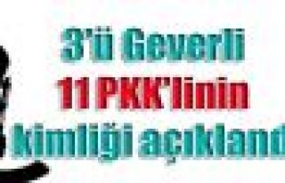 3'ü Geverli 11 PKK'linin kimliği açıklandı