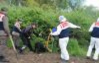 4 ceset daha bulundu!