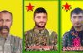 5 YPG savaşçısının kimliği açıklandı